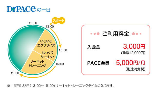 ドクターペースの一日